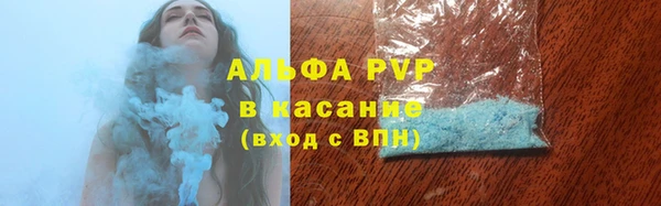 тгк Пересвет
