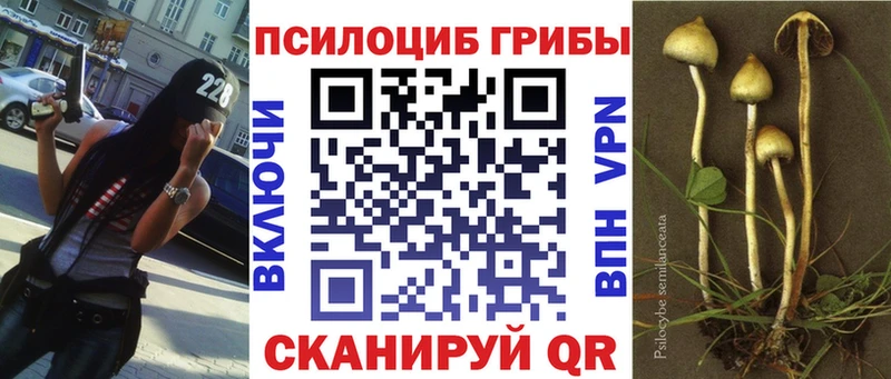 Галлюциногенные грибы прущие грибы  нарко площадка телеграм  Бодайбо 