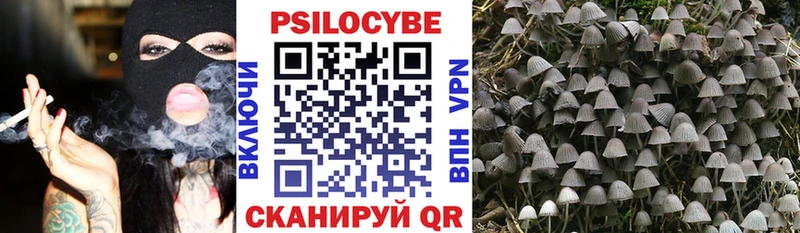Галлюциногенные грибы Cubensis Бодайбо